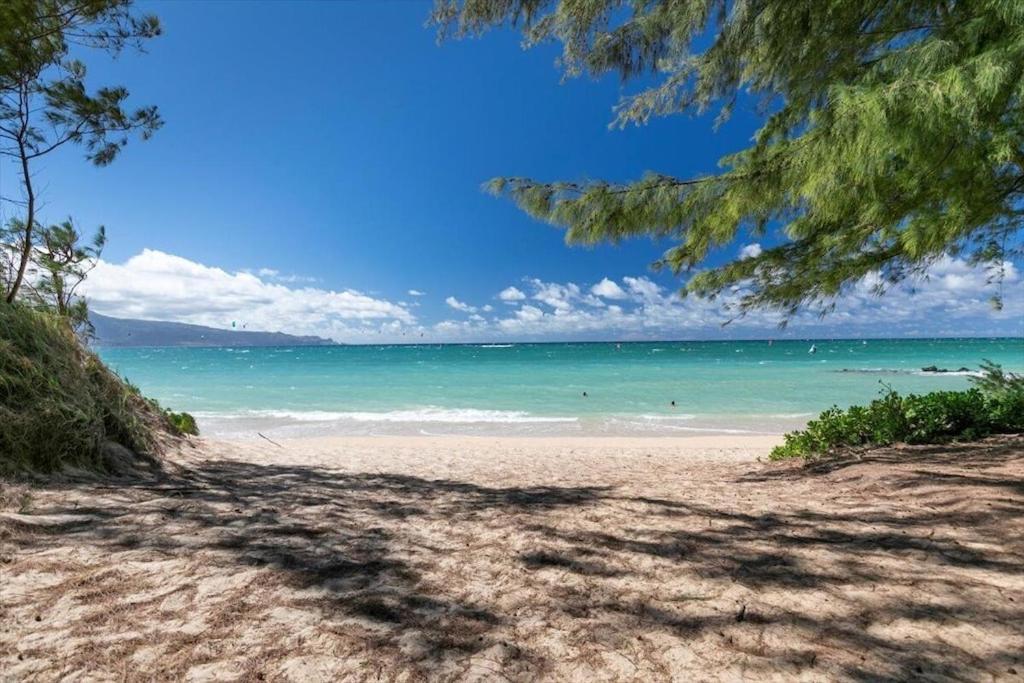 Unit 7 Maui Ohana Modern Studio Wailuku Ngoại thất bức ảnh